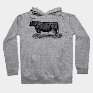 Black Bull Illustration Hoodie